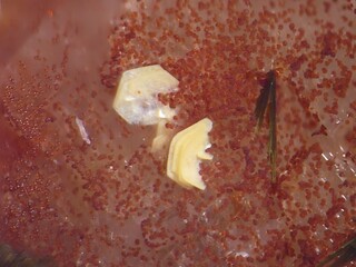 Deutschland/Baden-Württemberg/Freiburg, Bezirk/Ortenaukreis/Oberwolfach/Grube Clara