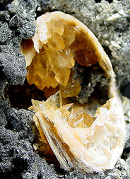 USA/Florida/Okeechobee County/Fort Drum/Rucks' Pit