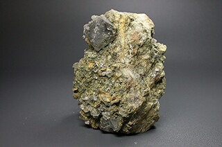 Italien/Emilia-Romagna, Region/Metropolitanstadt Bologna/Monteacuto Ragazza