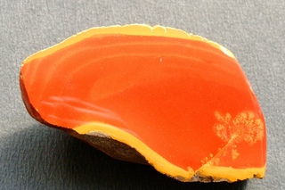 Deutschland/Baden-Württemberg/Freiburg, Bezirk/Lörrach, Landkreis/Schliengen/Liel/Feldfundstelle Liel