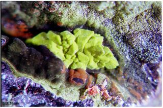 Griechenland/Attika (Attikí, Attica)/East Attica/Lavreotiki/Lavrion (Laurion), Bergbaudistrikt/Agios Konstantinos (Kamariza)/Mercati Minen/Christiana Mine