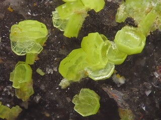 Deutschland/Bayern/Oberpfalz, Bezirk/Schwandorf, Landkreis/Wölsendorf, Revier/Brensdorf/Grube Roland