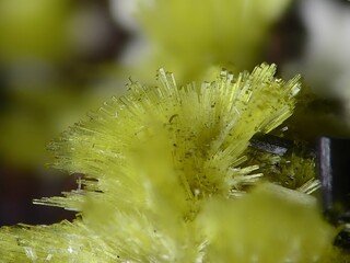 Deutschland/Baden-Württemberg/Freiburg, Bezirk/Waldshut, Landkreis/St. Blasien, Stadtgemeinde/Menzenschwand, Ortsteil/Krunkelbach