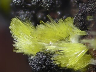 Deutschland/Baden-Württemberg/Freiburg, Bezirk/Waldshut, Landkreis/St. Blasien, Stadtgemeinde/Menzenschwand, Ortsteil/Krunkelbach