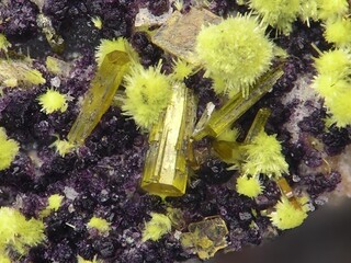 Deutschland/Baden-Württemberg/Freiburg, Bezirk/Waldshut, Landkreis/St. Blasien, Stadtgemeinde/Menzenschwand, Ortsteil/Krunkelbach