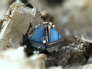 Deutschland/Rheinland-Pfalz/Mayen-Koblenz-Kreis/Mendig, Verbandsgemeinde/In den Dellen (Grube Zieglowski)