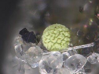 Deutschland/Rheinland-Pfalz/Vulkaneifel, Landkreis/Daun/Üdersdorf/Emmelberg