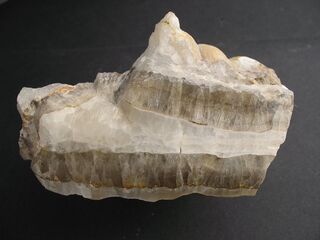 Italien/Toskana (Toscana)/Livorno, Provinz/Populonia/Steilküste