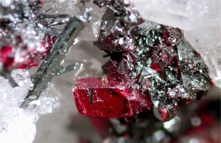 USA/New Mexico/Sierra County/Willow Creek