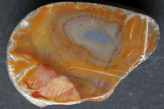 Deutschland/Nordrhein-Westfalen/Düsseldorf, Bezirk/Kleve, Kreis/Kalkar/Grieth