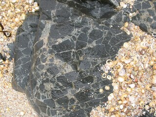 UK/Schottland/Highland/Ardnamurchan