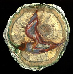 Frankreich/Provence-Alpes-Côte d'Azur, Région/Var, Département/Draguignan, Arrondissement/Fréjus, Stadt