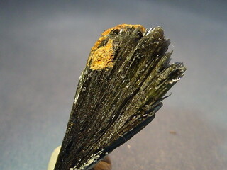 Deutschland/Bayern/Oberpfalz, Bezirk/Tirschenreuth, Landkreis/Leonberg, Gemeinde/Pfaffenreuth, Ortsteil/Grube Bayerland