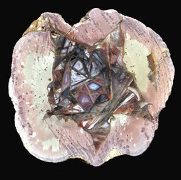 Deutschland/Baden-Württemberg/Freiburg, Bezirk/Ortenaukreis/Oppenau/Lierbachtal (Lierbach)