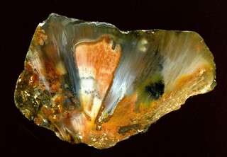 Deutschland/Brandenburg/Oberspreewald-Lausitz, Landkreis/Großräschen/Saalhausen