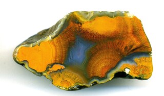 Deutschland/Brandenburg/Oberspreewald-Lausitz, Landkreis/Großräschen/Saalhausen