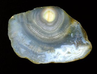 Deutschland/Brandenburg/Oberspreewald-Lausitz, Landkreis/Großräschen/Saalhausen