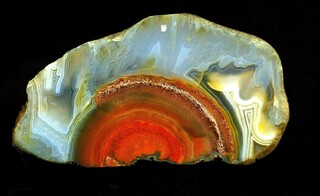 Deutschland/Brandenburg/Oberspreewald-Lausitz, Landkreis/Großräschen/Saalhausen