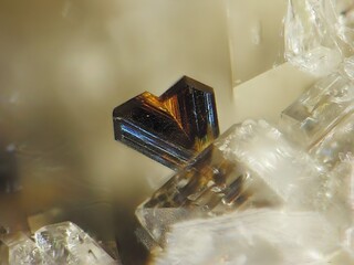 Deutschland/Rheinland-Pfalz/Vulkaneifel, Landkreis/Kelberg, Verbandsgemeinde/Drees/Niveligsberg