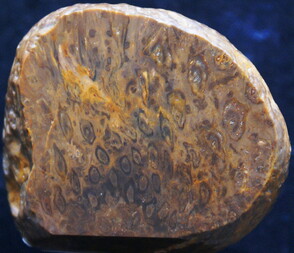 Deutschland/Sachsen/Bautzen, Landkreis/Lauta/Felder an der Landstraße 58 und Kieswerk Lauta