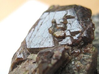 Deutschland/Thüringen/Ilm-Kreis/Ilmenau, Stadtgemeinde/Ehrenberg, Hügel