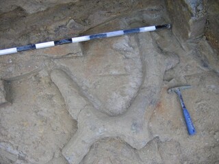 Deutschland/Nordrhein-Westfalen/Arnsberg, Bezirk/Dortmund