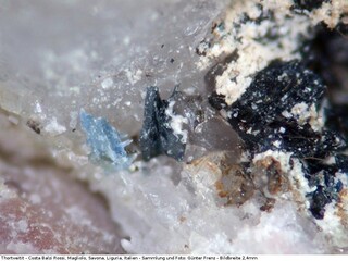 Italien/Ligurien (Liguria), Region/Savona, Provinz/Magliolo, Gemeinde/Costa Balzi Rossi