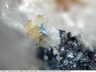 Italien/Ligurien (Liguria), Region/Savona, Provinz/Magliolo, Gemeinde/Costa Balzi Rossi