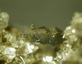 Österreich/Salzburg/Zell am See, Bezirk (Pinzgau)/Neukirchen am Großvenediger, Marktgemeinde/Sulzau, Katastralgemeinde/Obersulzbachtal/Hopffeldboden