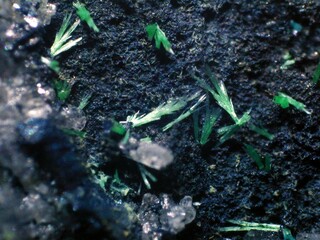 Deutschland/Nordrhein-Westfalen/Arnsberg, Bezirk/Siegen-Wittgenstein, Kreis/Hilchenbach/Müsen/Grube Wildermann