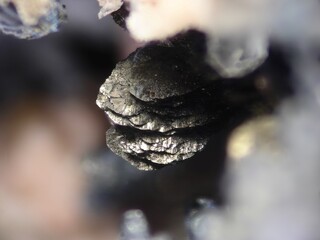 Deutschland/Baden-Württemberg/Freiburg, Bezirk/Rottweil, Landkreis/Schenkenzell, Gemeinde/Kaltbrunn, Ortsteil/Wittichen/Grube Neuglück