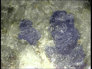 Sri Lanka/Westprovinz/Beruwala