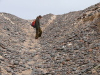 Namibia/Erongo, Region/Namib-Wüste/Skeleton Coast Park