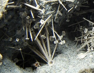 Deutschland/Hessen/Darmstadt, Bezirk/Wetteraukreis/Nidda/Ober-Widdersheim/Steinbruch Nickel (Ober-Widdersheim)