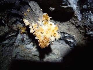Deutschland/Nordrhein-Westfalen/Arnsberg, Bezirk/Hochsauerlandkreis/Bestwig/Ramsbeck