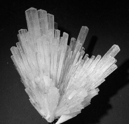 Indien/Maharashtra/Nashik (Nasik), Distrikt/Nasik