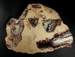 Deutschland/Sachsen/Erzgebirgskreis/Mildenau