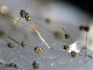 Deutschland/Nordrhein-Westfalen/Arnsberg, Bezirk/Hagen/Steinbruch Donnerkuhle