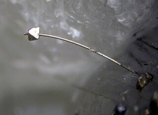 Deutschland/Nordrhein-Westfalen/Arnsberg, Bezirk/Hagen/Steinbruch Donnerkuhle