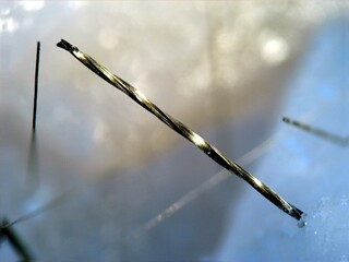 Deutschland/Nordrhein-Westfalen/Arnsberg, Bezirk/Hagen/Steinbruch Donnerkuhle