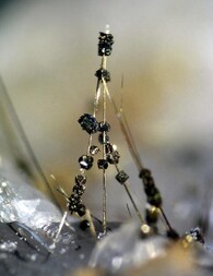 Deutschland/Nordrhein-Westfalen/Arnsberg, Bezirk/Hagen/Steinbruch Donnerkuhle