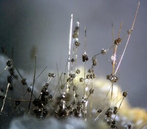 Deutschland/Nordrhein-Westfalen/Arnsberg, Bezirk/Hagen/Steinbruch Donnerkuhle
