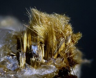 Belgien/Wallonie/Luxemburg (Luxembourg), Provinz/Neufchâteau, Bezirk/Bertrix/Bois de la Haie