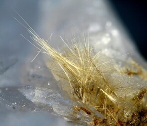 Belgien/Wallonie/Luxemburg (Luxembourg), Provinz/Neufchâteau, Bezirk/Bertrix/Bois de la Haie