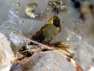 Belgien/Wallonie/Luxemburg (Luxembourg), Provinz/Neufchâteau, Bezirk/Bertrix/Bois de la Haie