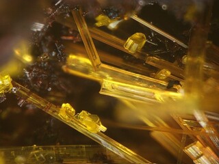 Deutschland/Baden-Württemberg/Freiburg, Bezirk/Waldshut, Landkreis/St. Blasien, Stadtgemeinde/Menzenschwand, Ortsteil/Krunkelbach