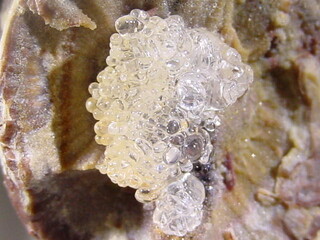 Ungarn/Borsod-Abaúj-Zemplén, Komitat/Szerencs, Kreis/Monok/Hosszú Hegy