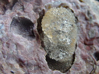 Ungarn/Borsod-Abaúj-Zemplén, Komitat/Szerencs, Kreis/Monok/Hosszú Hegy