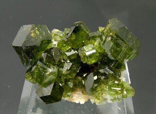 Brasilien/Nordosten (Região Nordeste)/Bahia/Brumado (Bom Jesus dos Meiras)/Serra das Éguas/Pomba