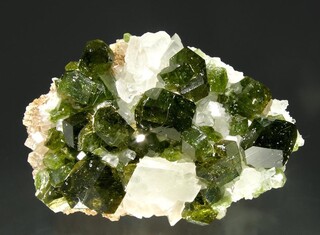 Brasilien/Nordosten (Região Nordeste)/Bahia/Brumado (Bom Jesus dos Meiras)/Serra das Éguas/Pomba